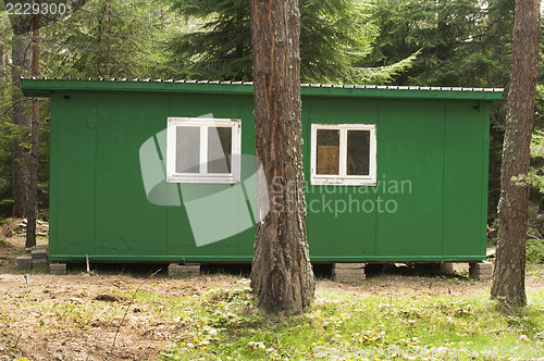 Image of Green bungalow in the forest