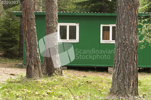 Image of Green bungalow in the forest