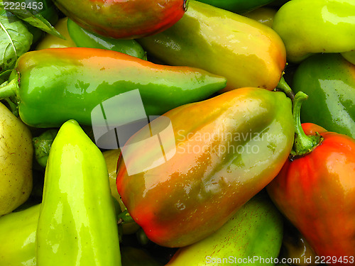 Image of Crop of multicolour Bulgarian pepper