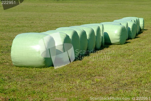 Image of hay bale in plastic