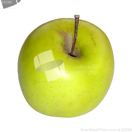 Image of Green Apple