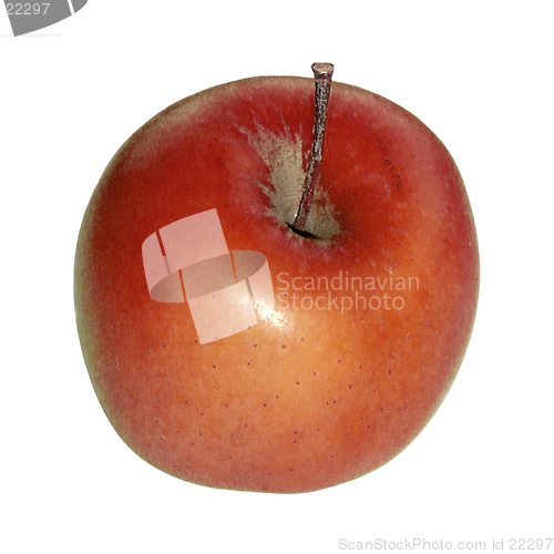 Image of Red Apple