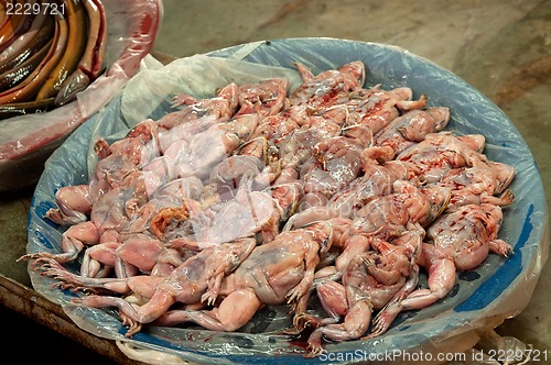 Image of Fresh frogs on local food market