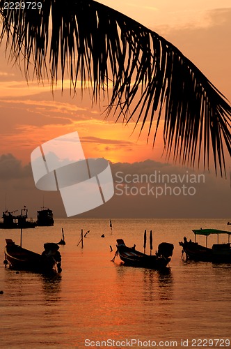 Image of Sunset with palm and boats on tropical beach