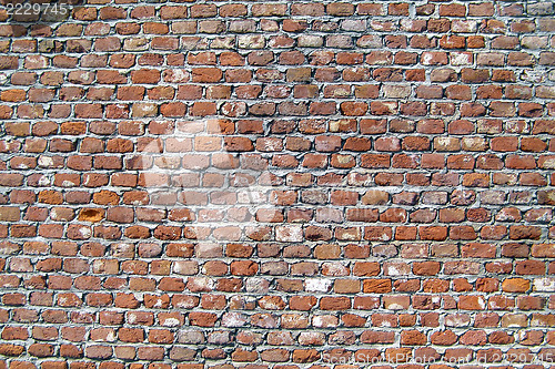 Image of Brick wall