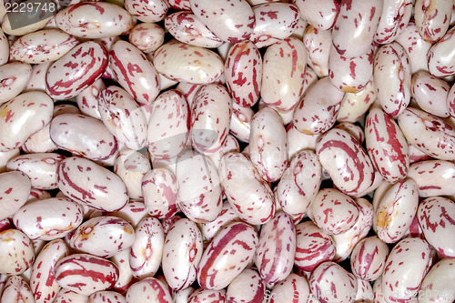 Image of Beans salad