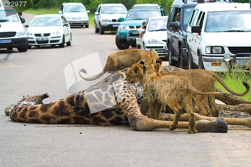 Image of African Traffic Jam
