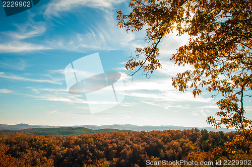 Image of Mountain valley on sunny day. Great Smoky Mountains, North carol