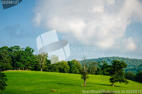 Image of Mountain valley on sunny day. Great Smoky Mountains, North carol