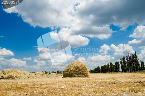 Image of stack of straw