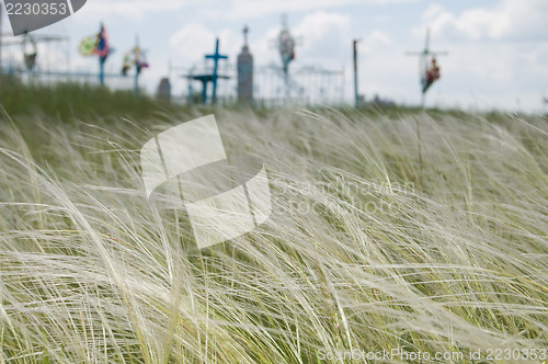 Image of feather grass