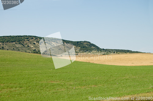 Image of mountains and field