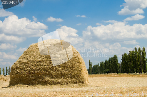 Image of stack of straw