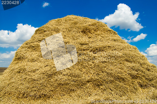 Image of stack of straw