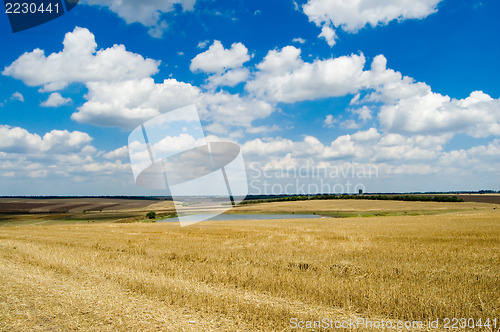 Image of rural view