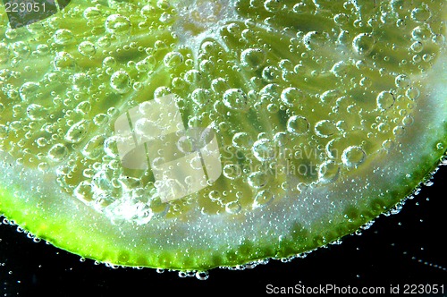 Image of lime in soda drink