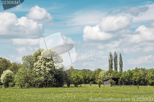 Image of Meadows with blue sky