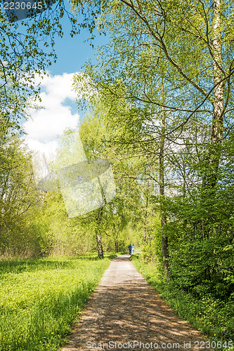 Image of Relaxing in light green nature