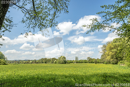 Image of Meadows with clouds and sun