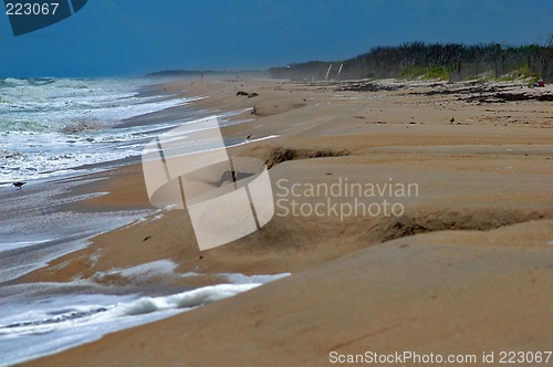 Image of sandy ocean beach