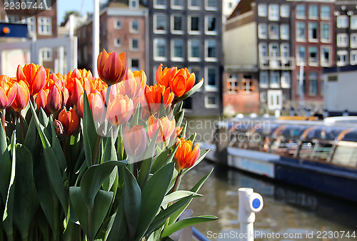 Image of Amsterdam in tulips