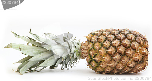 Image of ananas