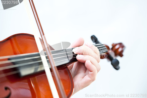 Image of Violin