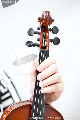 Image of Violin