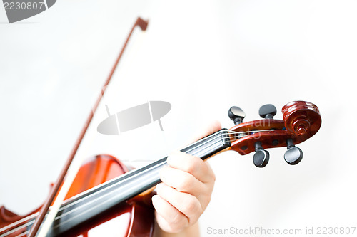 Image of Violin