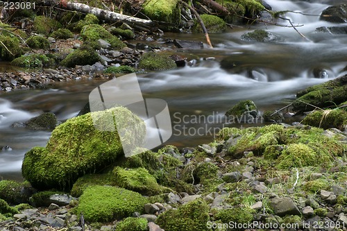 Image of Stream and Mossy Rocks