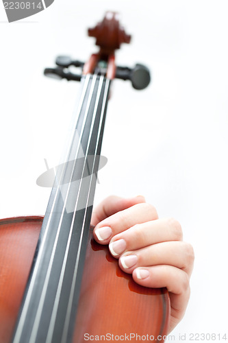 Image of Violin