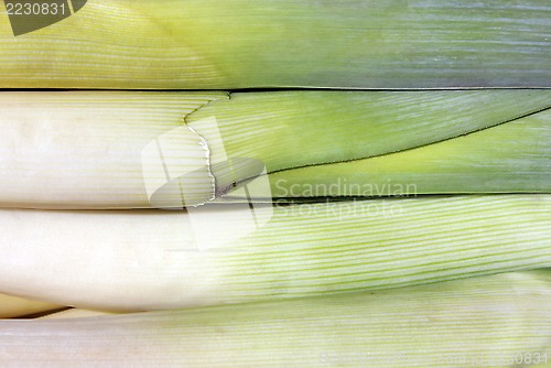 Image of Leek