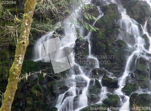 Image of Fishhawk Falls