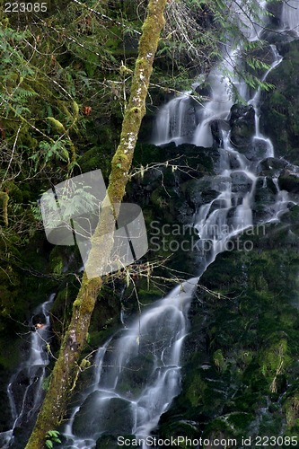 Image of Fishhawk Falls