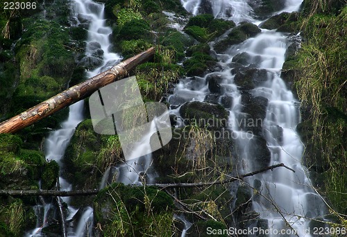 Image of Fishhawk Falls