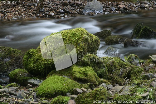 Image of Stream and Rock with Green Moss