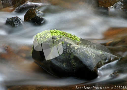 Image of Stream and Rocks