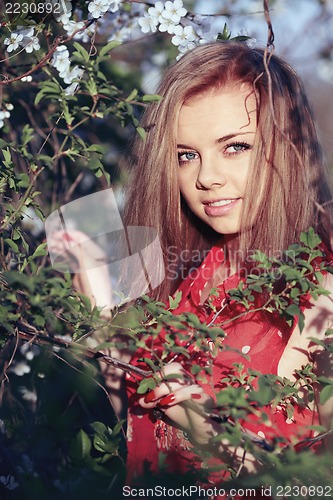 Image of Girl in the flowers of cherry