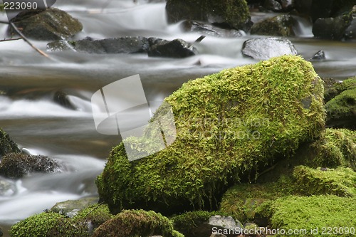 Image of Stream and Mossy Rock