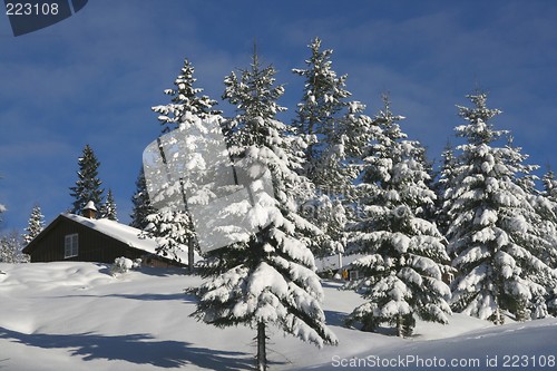 Image of Cottage in winter