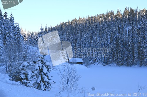 Image of Winter landscape