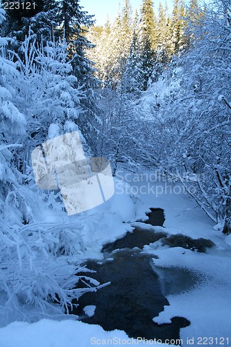 Image of Winter creek