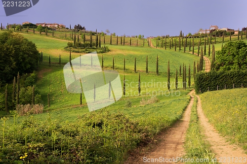 Image of Tuscan landscape