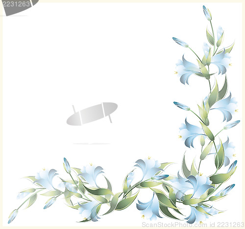 Image of Greeting card with a lily. Lily illustration.  Decorative framew