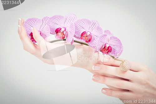 Image of manicure making in beauty spa salon 