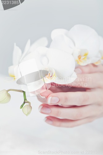 Image of manicure making in beauty spa salon 