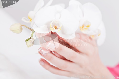 Image of manicure making in beauty spa salon 