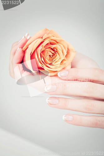 Image of manicure making in beauty spa salon 