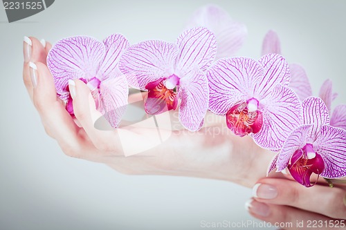 Image of manicure making in beauty spa salon 