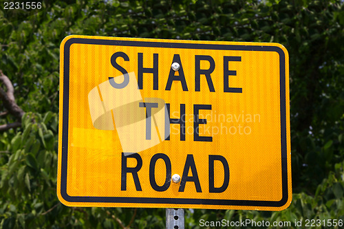 Image of Share the Road